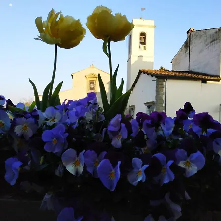 B&B La Pieve - Locanda per Viandanti-2